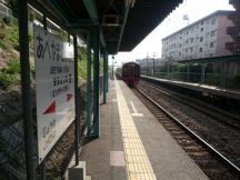 45645.jpg
