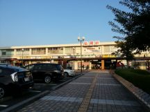 45656-2.jpg