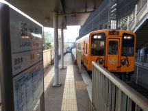 45732-3.jpg