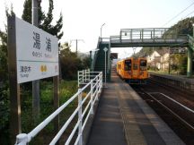 45733.jpg