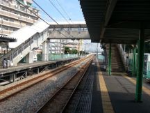 45799-1.jpg