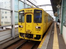 45806.jpg