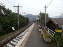 45815-1.jpg