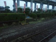 45862-1.jpg