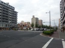 45883-5.jpg