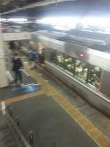 46068.jpg