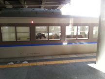46081.jpg