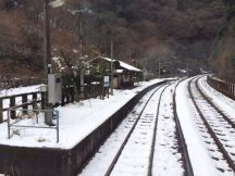 46196-1.jpg