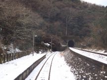 46196-2.jpg