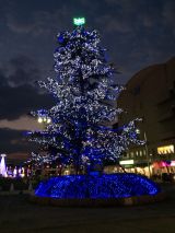 46235-1.jpg