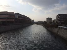 46258.jpg
