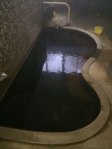 46279-2.jpg
