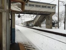 46361-1.jpg