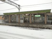 46364-1.jpg