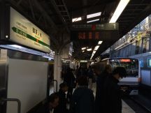 46393.jpg