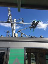 46411-2.jpg