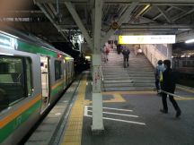 46493.jpg