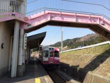46541.jpg