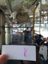 46546-1.jpg