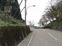 46591-1.jpg