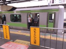 46810.jpg