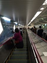 46849-1.jpg