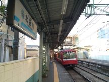 46863.jpg