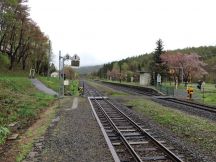 46937-1.jpg