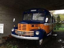 46984-2.jpg