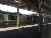 47010.jpg