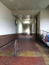 47029-4.jpg