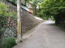 47079.jpg
