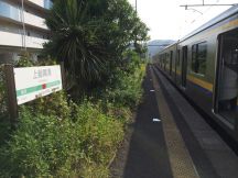 47132.jpg