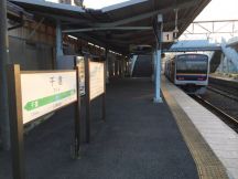 47137.jpg