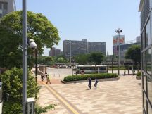 47155-4.jpg