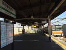 47187.jpg