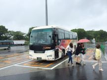 47202.jpg