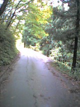 041011_1346~001.jpg