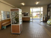 65918-3.jpg