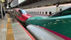 65975-2.jpg