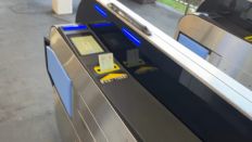 66031-1.jpg