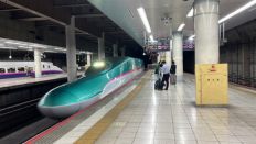 66042-1.jpg