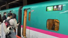 66042-2.jpg