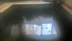 66072-1.jpg