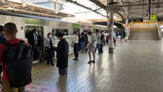 66075-2.jpg