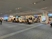 66080-2.jpg