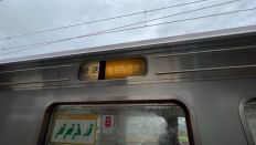 66095-1.jpg