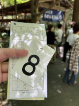 66249-1.jpg