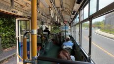 66253-1.jpg