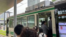 66312-3.jpg